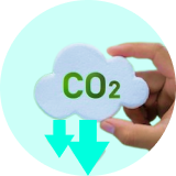 Compensamos el CO₂<br />de tu coche
